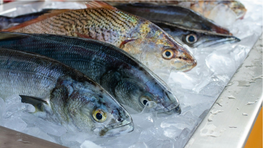 Guía práctica para elegir pescados y mariscos frescos en Semana Santa
