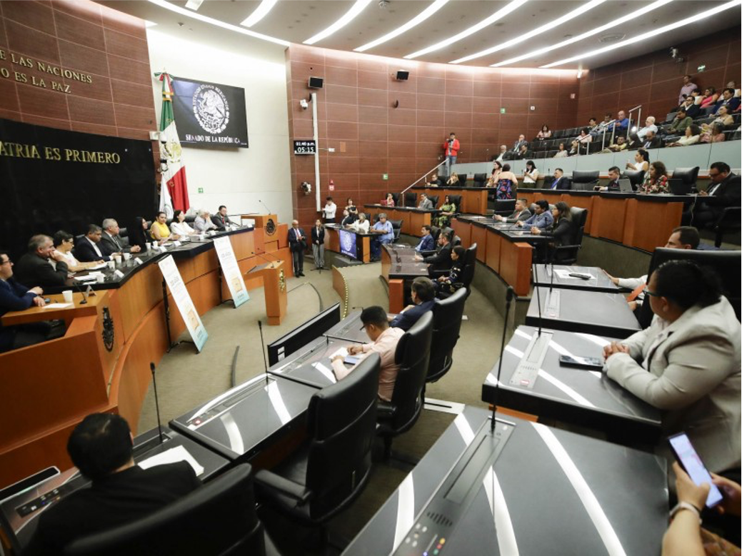 Senado aclara cifras y desmiente a MCCI: “los datos son públicos”
