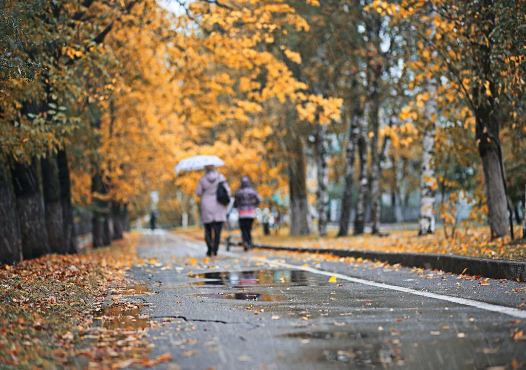 El otoño astronómico inició en México este 22 de septiembre