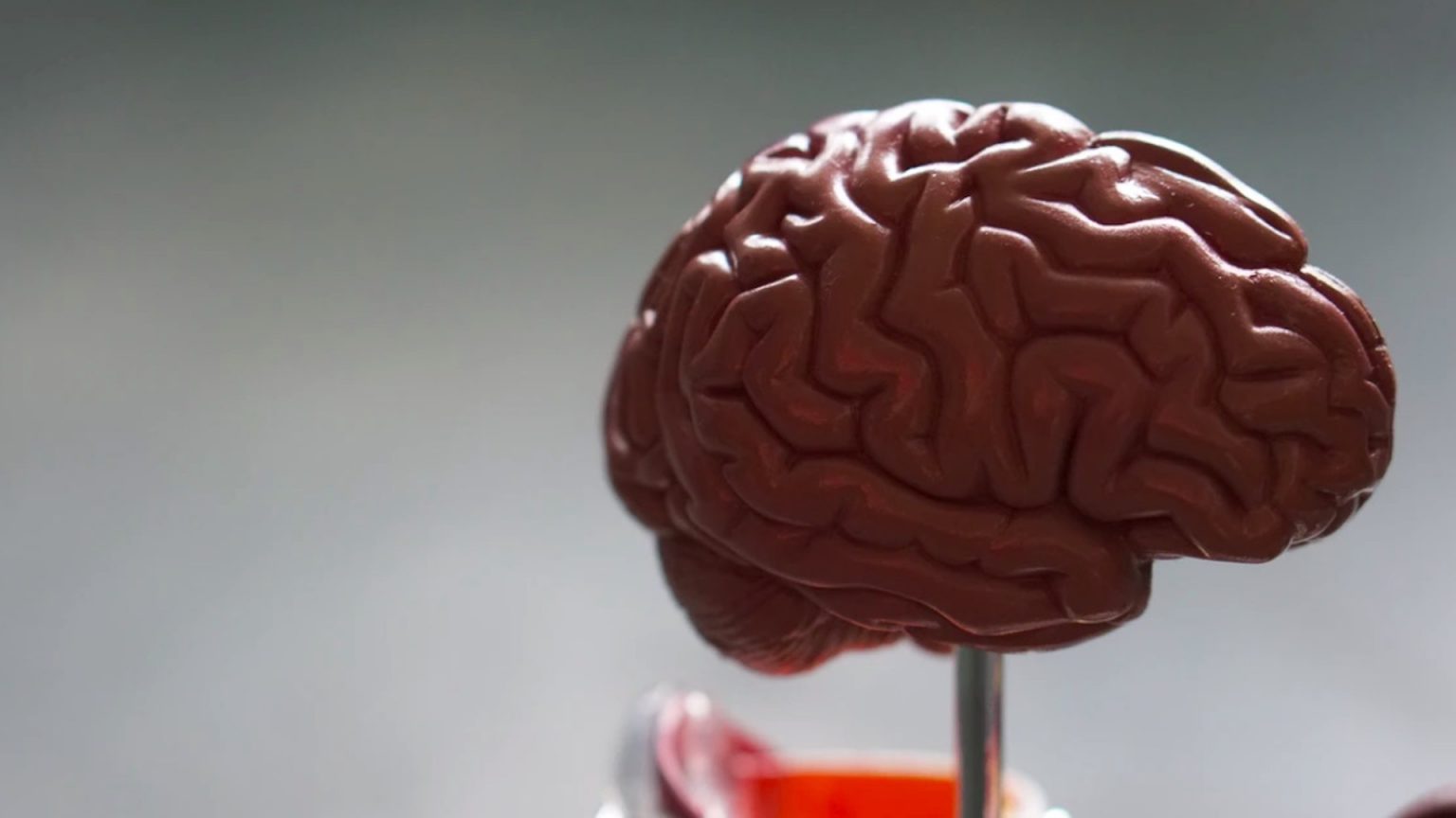 La forma del cerebro: un nuevo marcador para detectar Alzheimer antes de los síntomas
