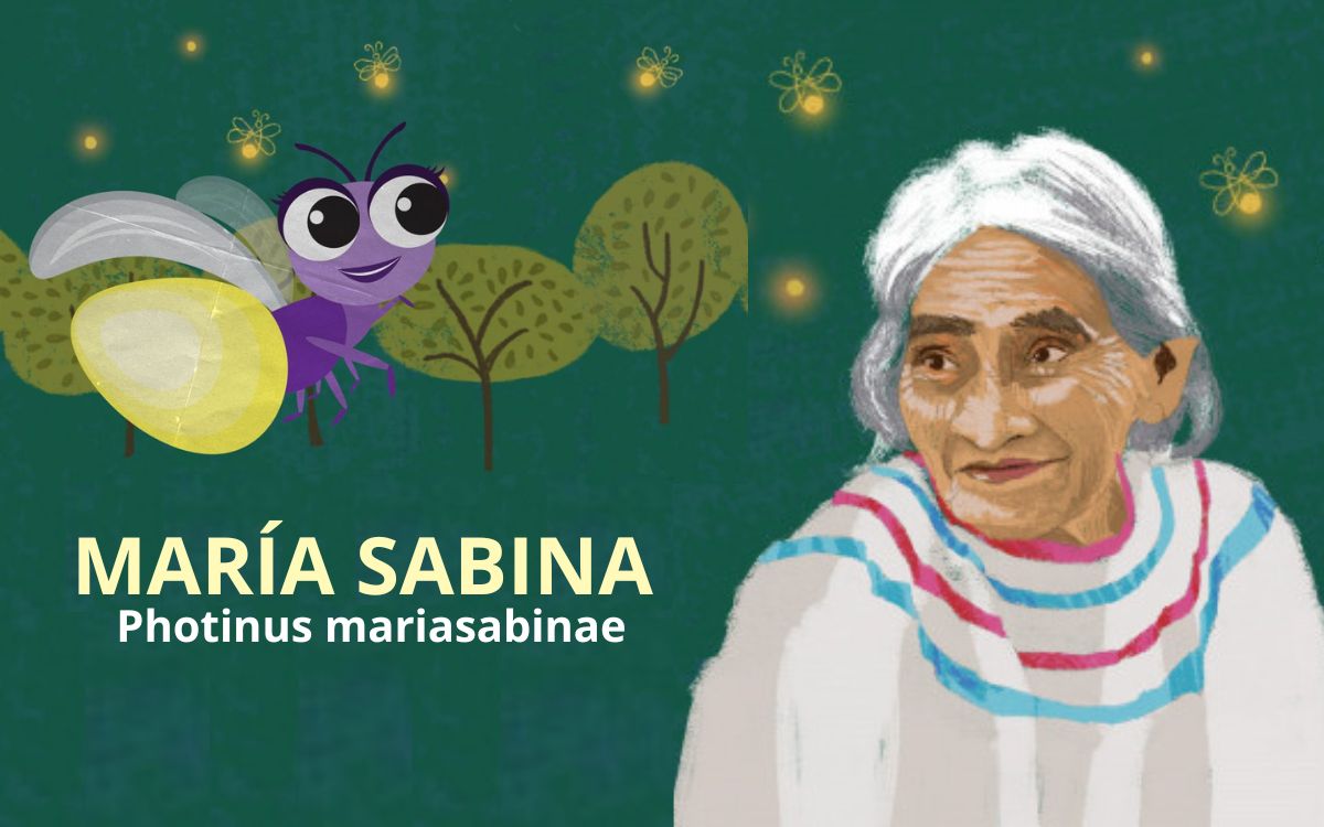 ¡Brilla María Sabina en Chapultepec! Nueva luciérnaga lleva su nombre