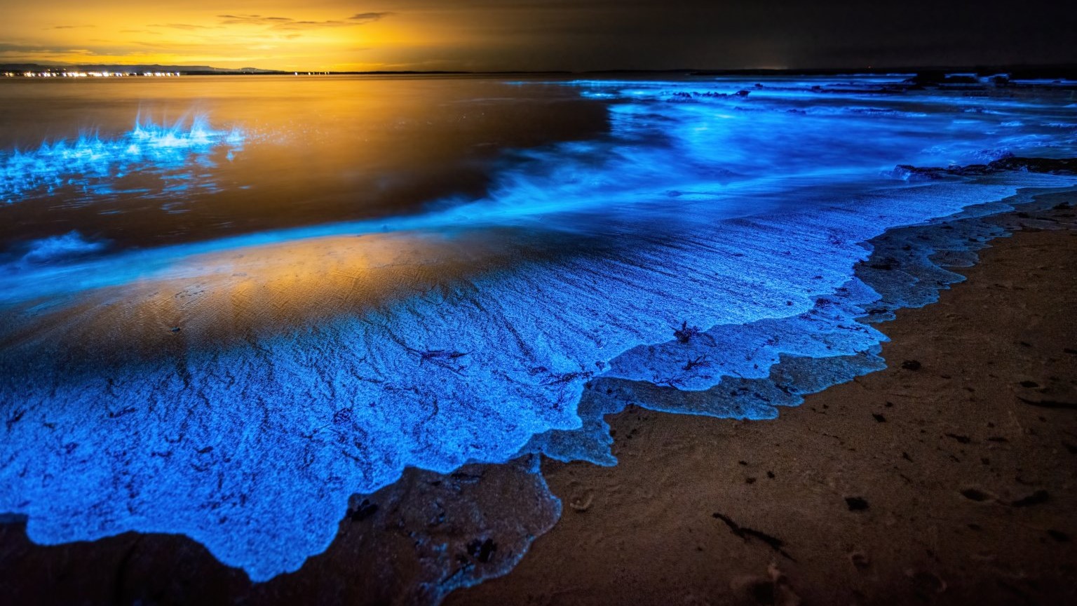 Un mar de estrellas a tus pies: descubre las playas que brillan en Nayarit