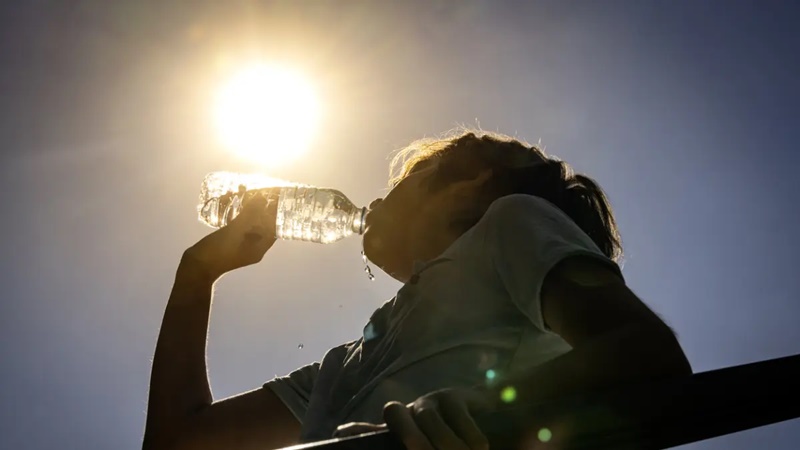 Olas de calor ponen en riesgo a millones y dañan hospitales, alerta OMS
