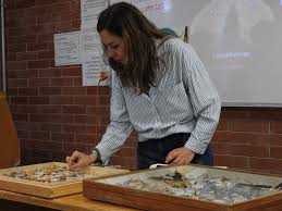 Revelan polilla endémica que habita en bosques del poniente capitalino