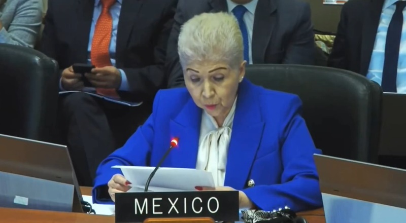 México defiende en la OEA el asilo como garantía humanitaria