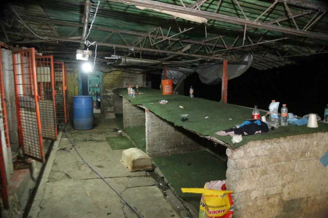 Rescate animal en Cuajimalpa: Clara Brugada muestra evidencias y niega intereses inmobiliarios