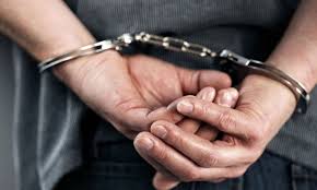 Conmoción en Gustavo A. Madero: detienen a hombre por matar y desollar dos perros en CDMX