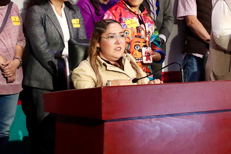 La epilepsia grave busca respuestas reales desde el Congreso